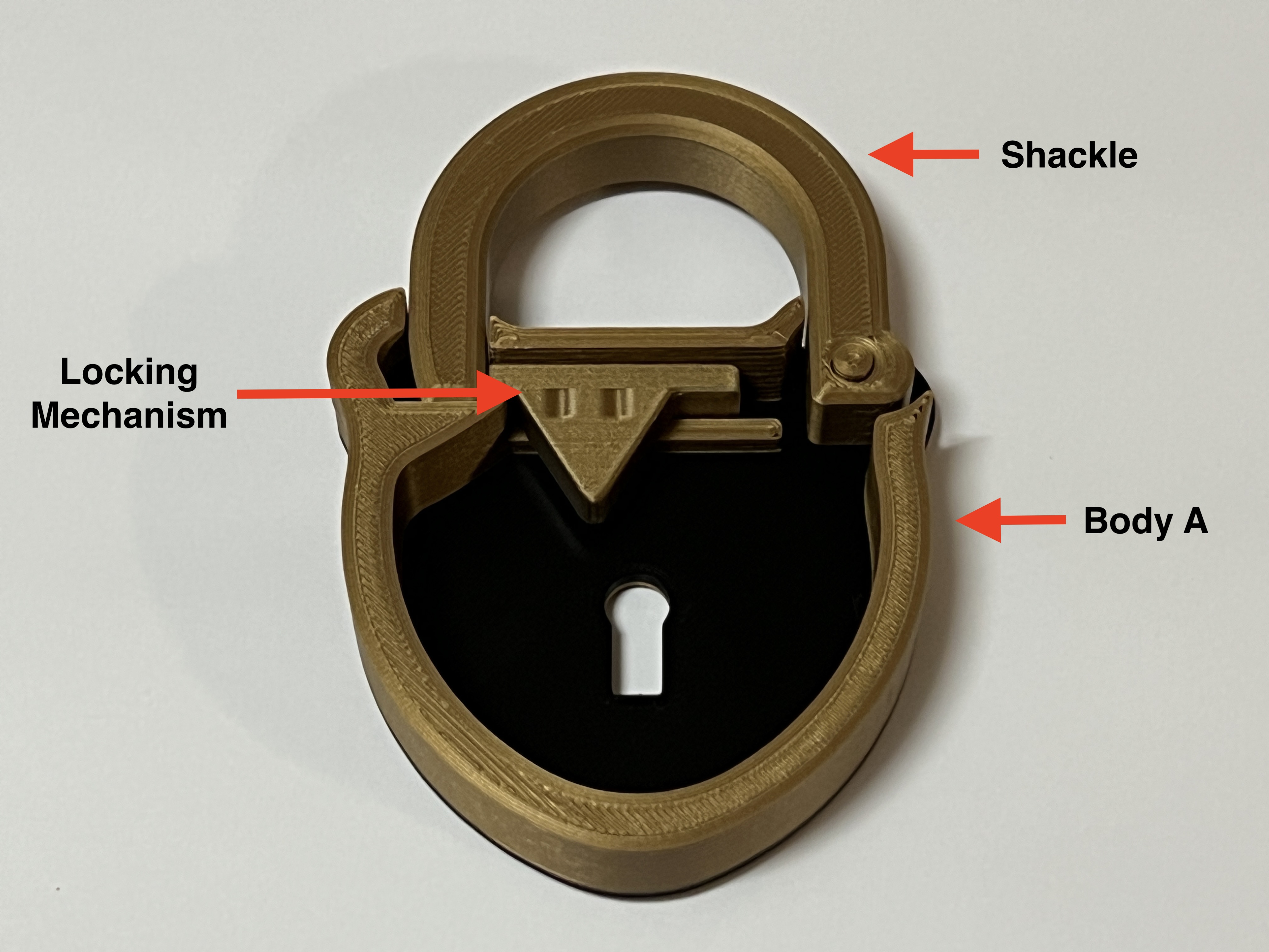 Padlock With Skeleton Key, 100% Printable, No Hardware Required by ...