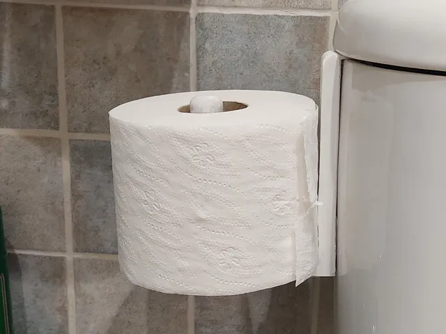 Toilet roll holder
