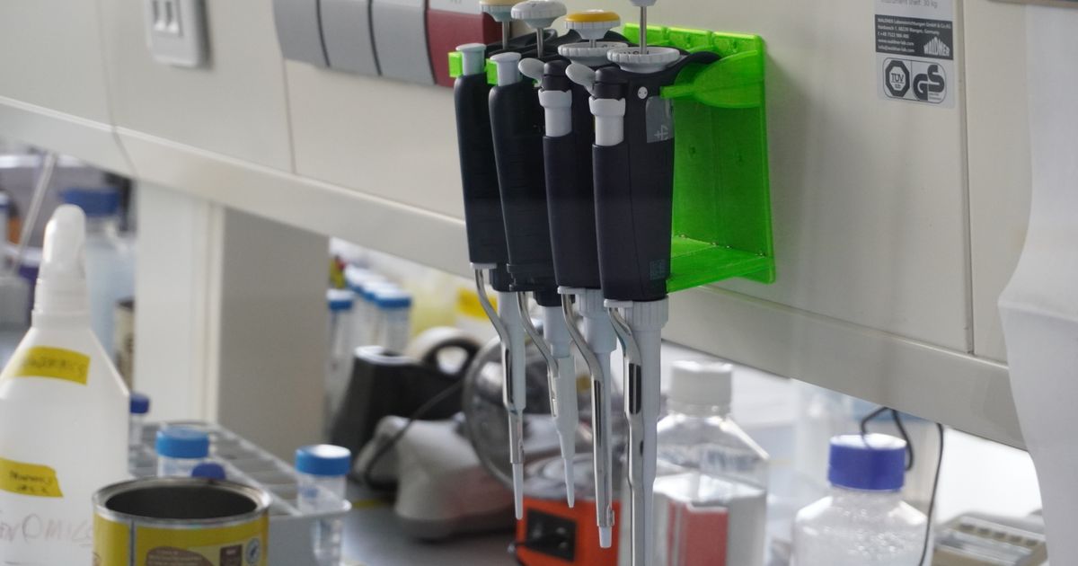 Micropipette Holder by paururo Download free STL model