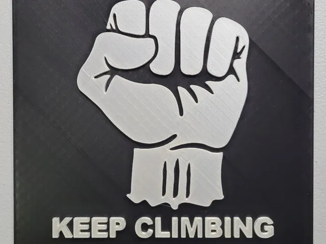 The Mountain Motivational Poster