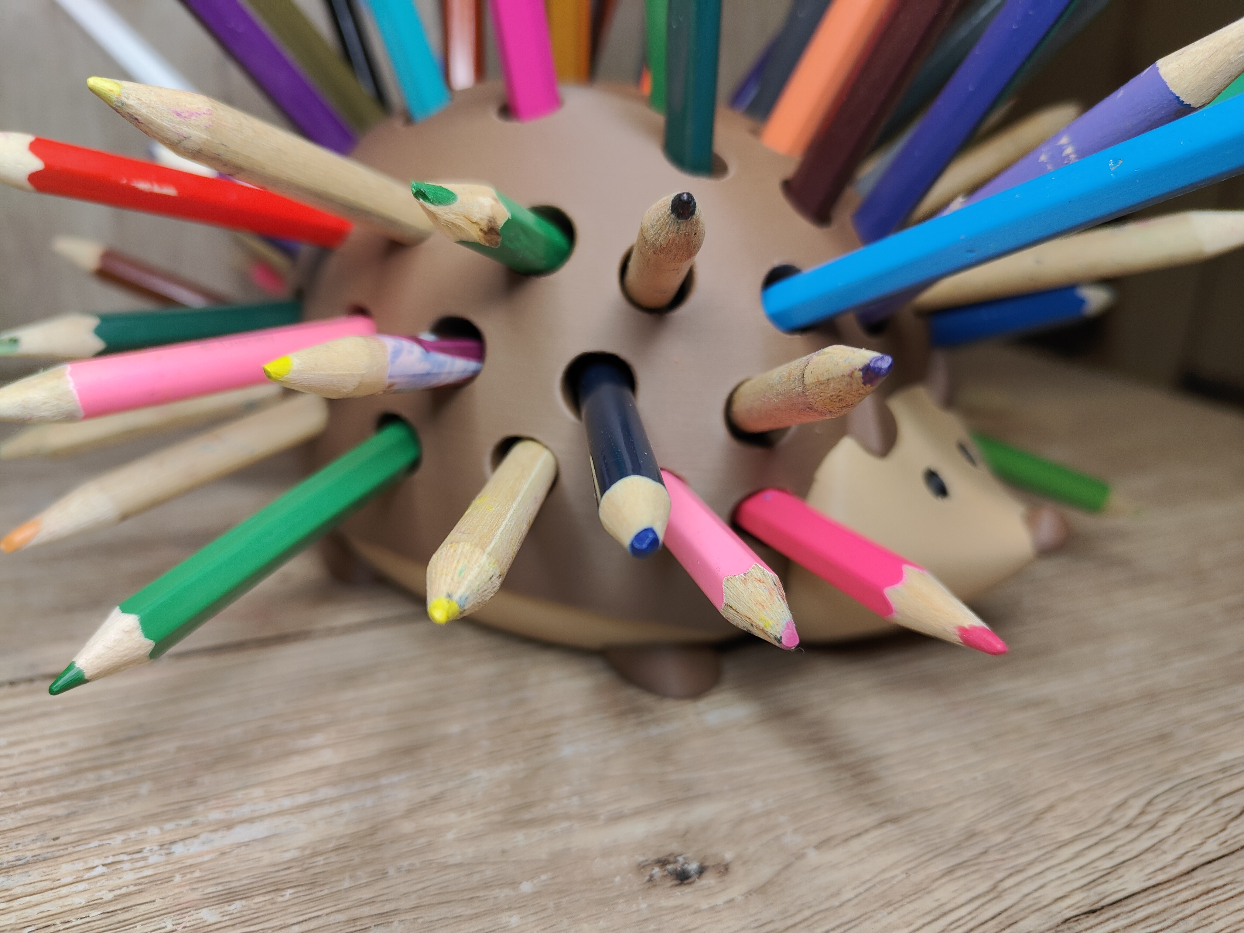 Pencil Hedgehog