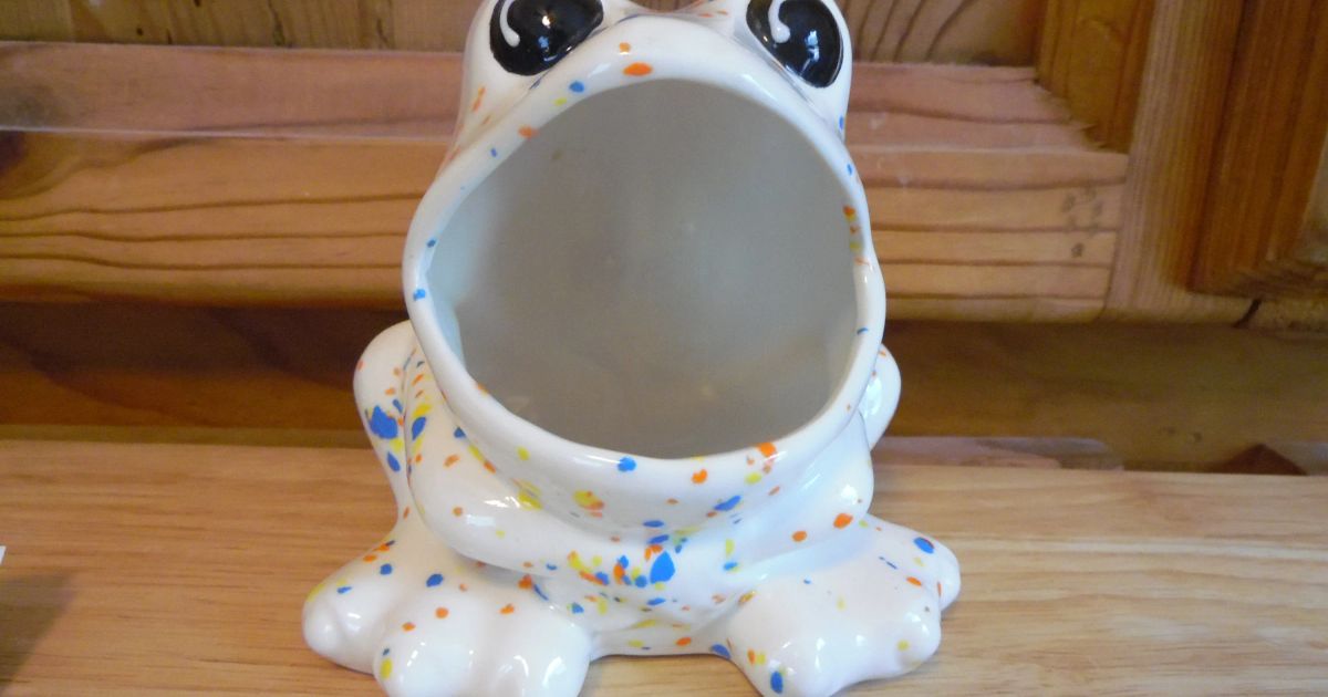 Frog Scrubby Kitchen Holder