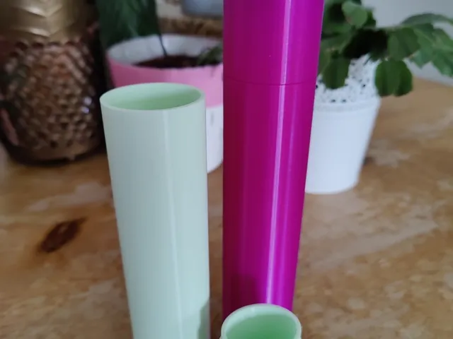 Oral-B Pro 2 Travel Case