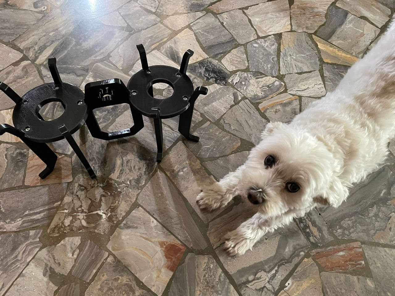 Elevated dog bowl station