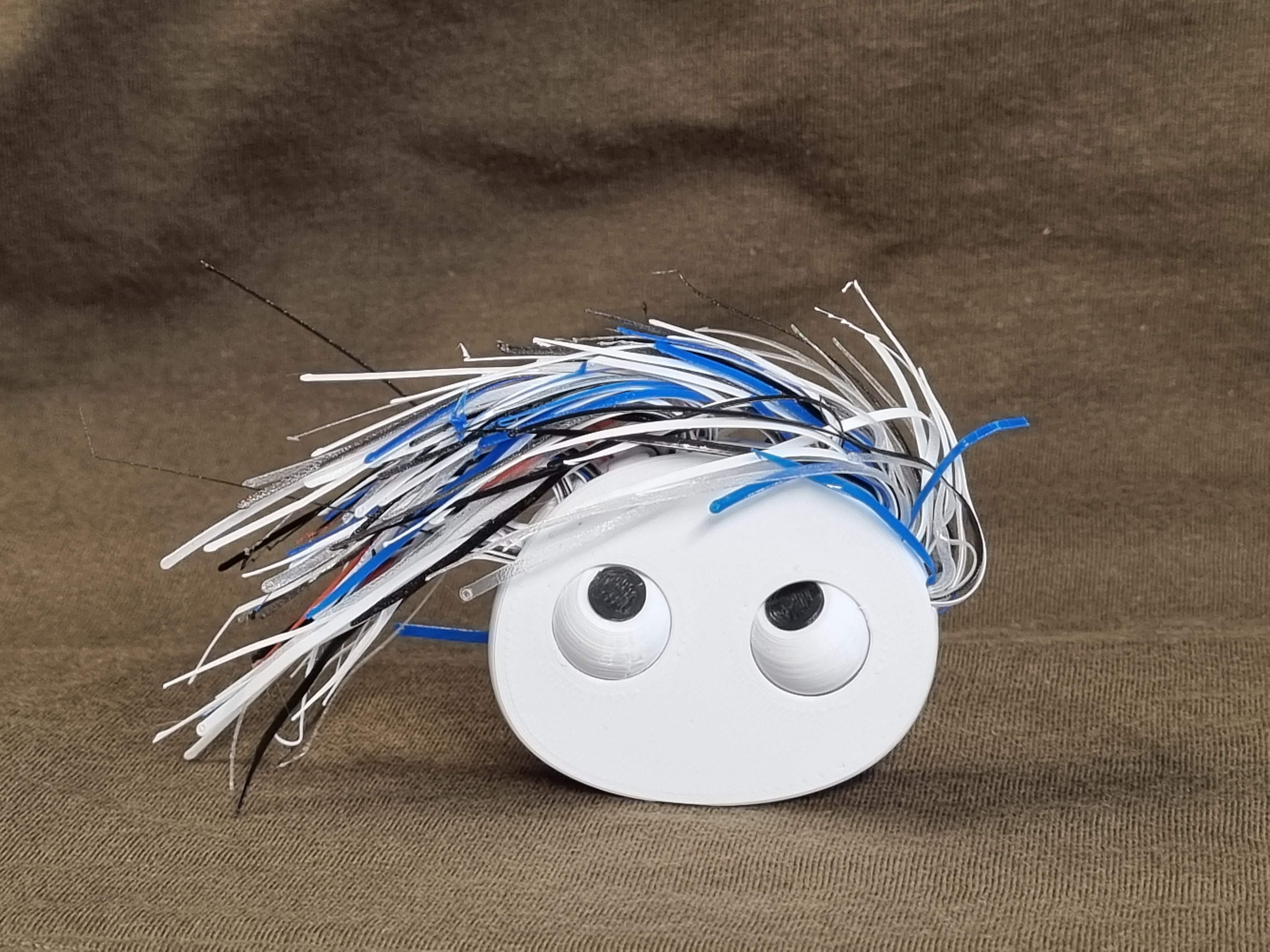 Pebble's Bad Hair Day