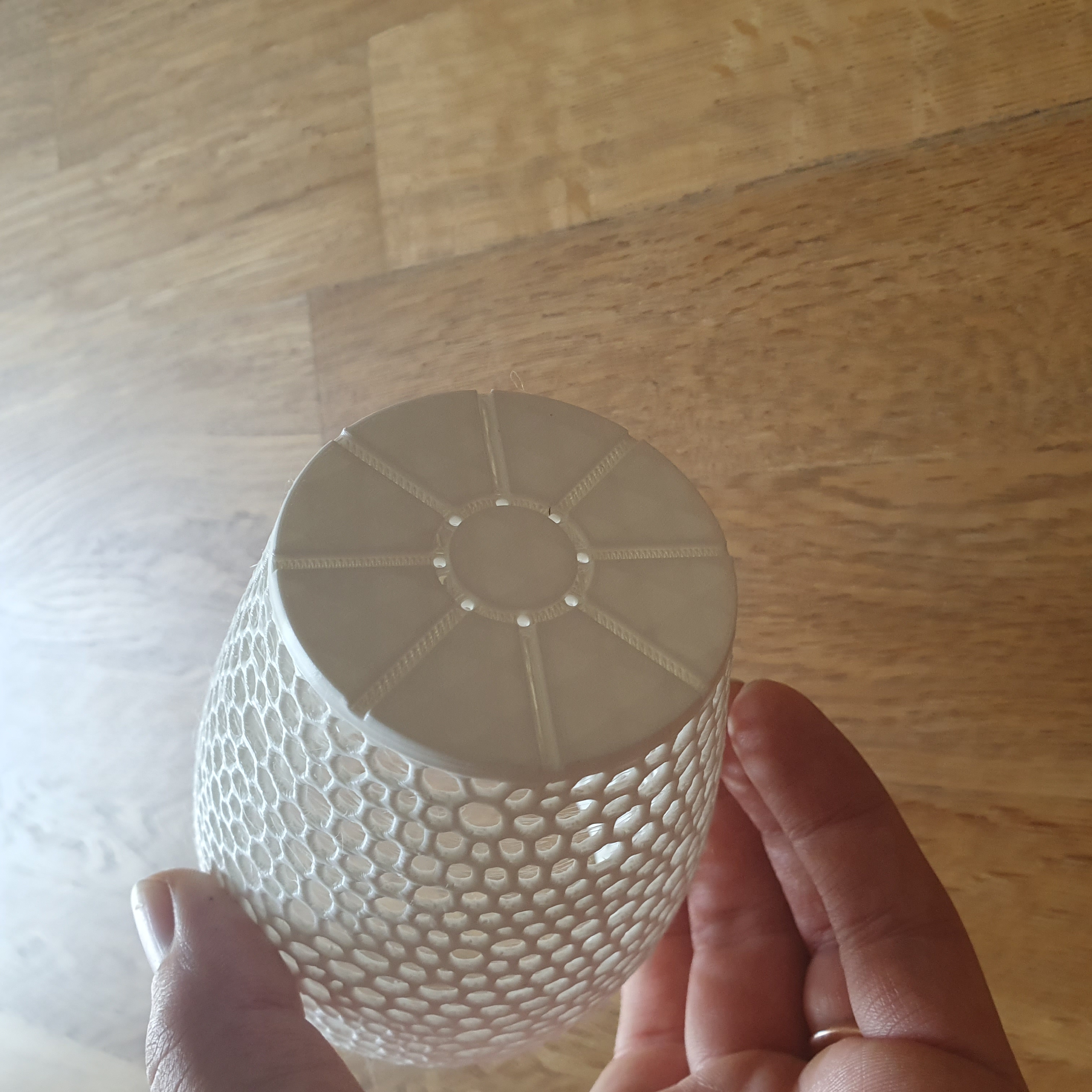 Voronoi toothbrush holder with drain holes