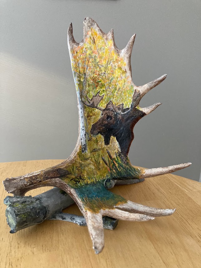 Moose Antler for Painting