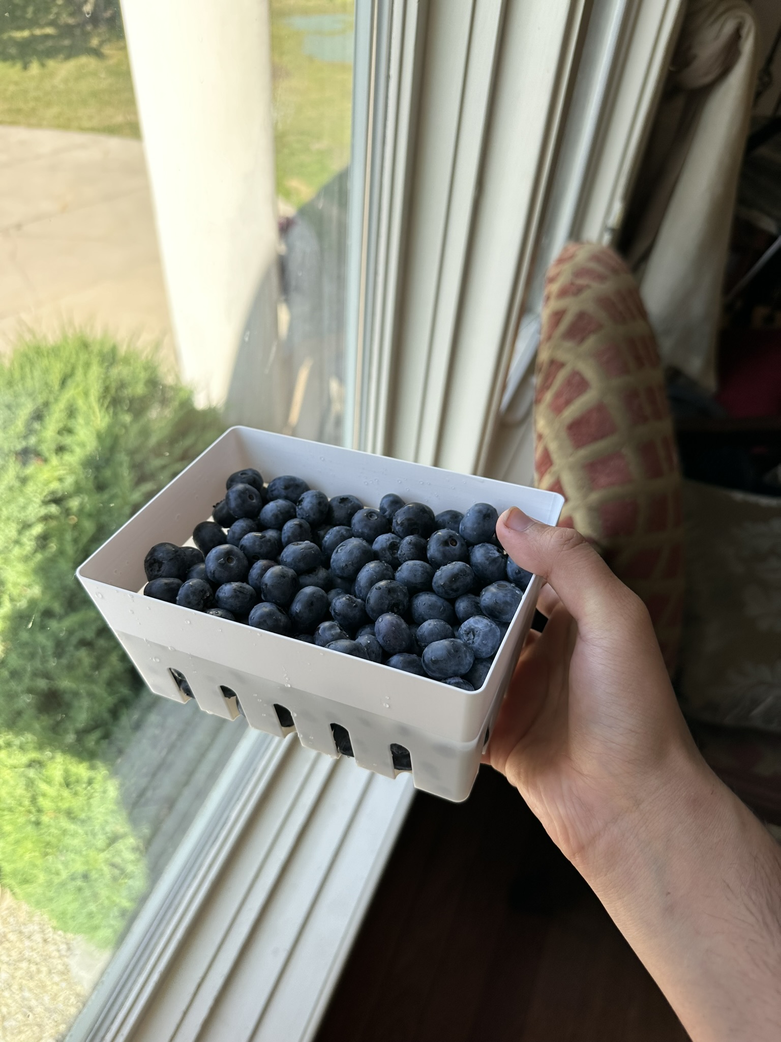 Berry Basket