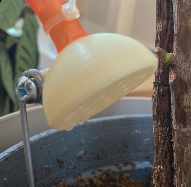 plant watering shower head by nw Download free STL model