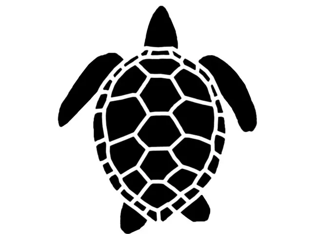 Turtle stencil art