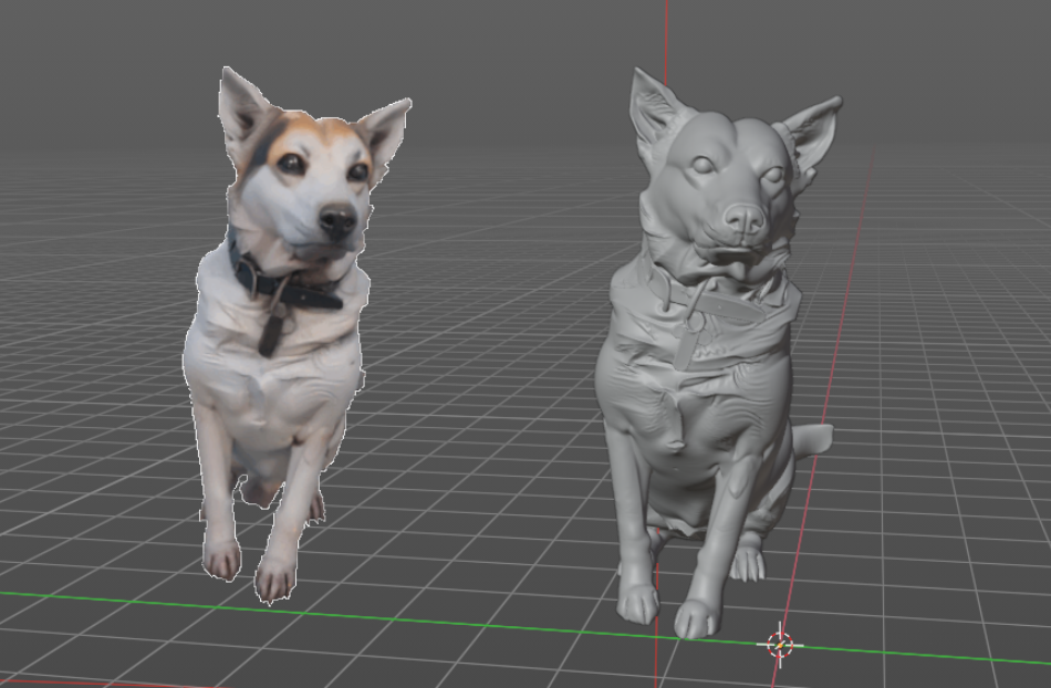 Dog called Jacke