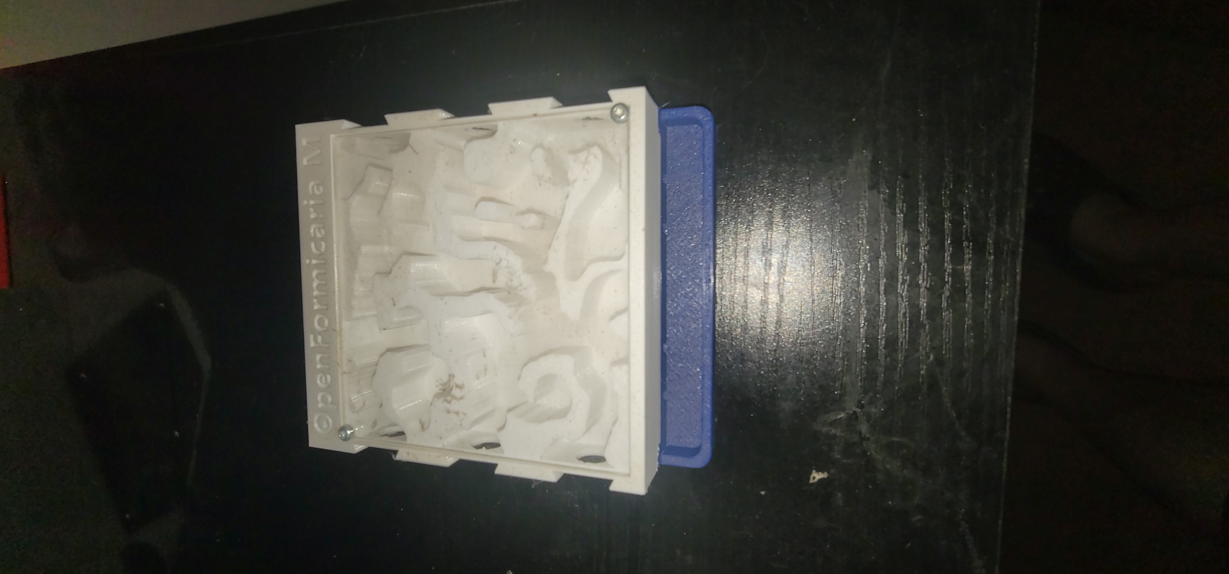 Ant Formicarium with heater tube