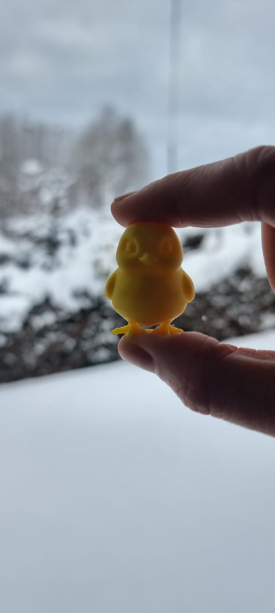 Mini chick — miniatura 3