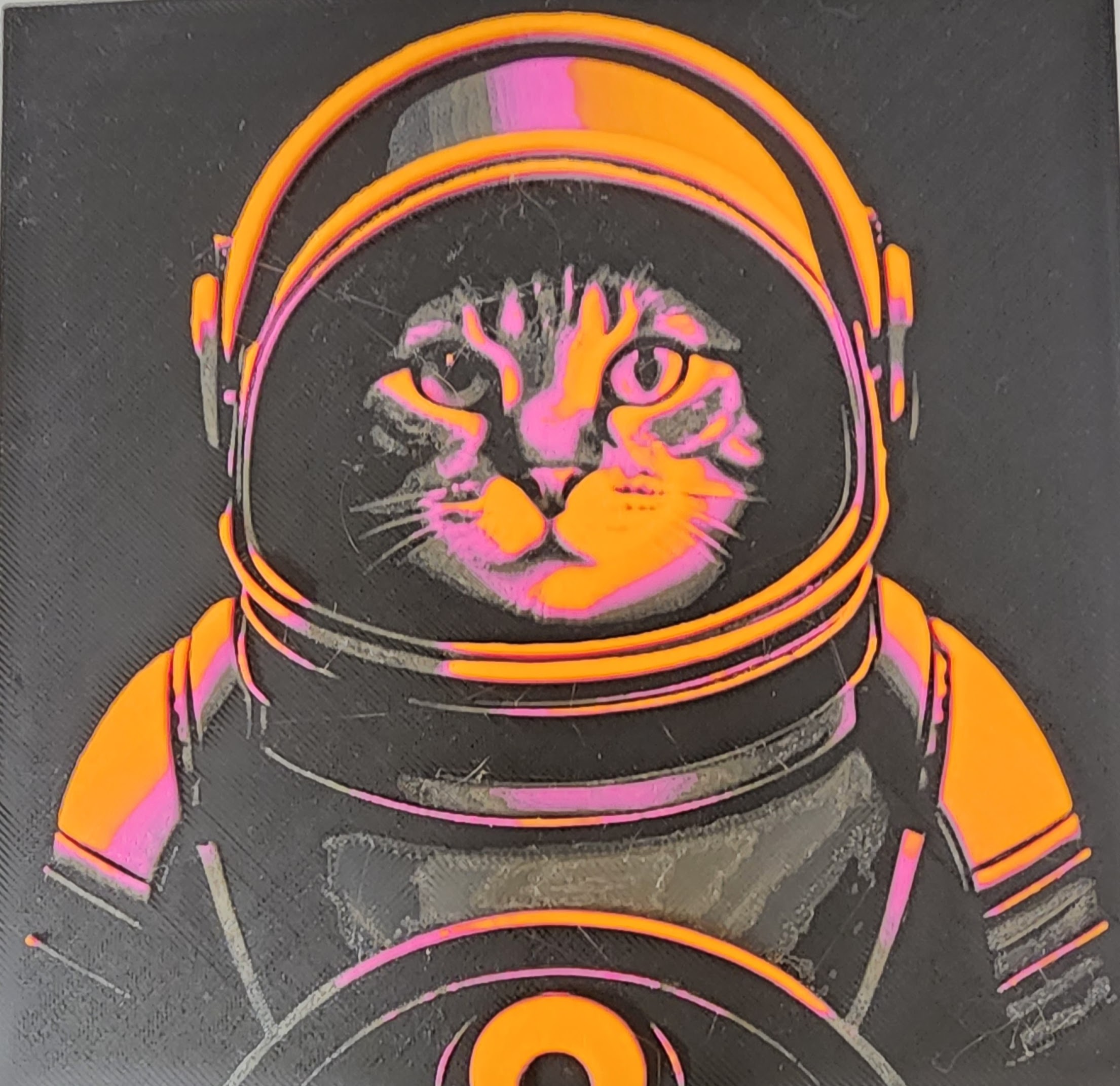 Space Kitty