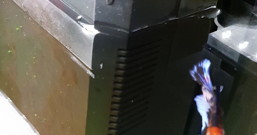 Superfish home 60 aquarium filter cover by PvL__N Download free STL