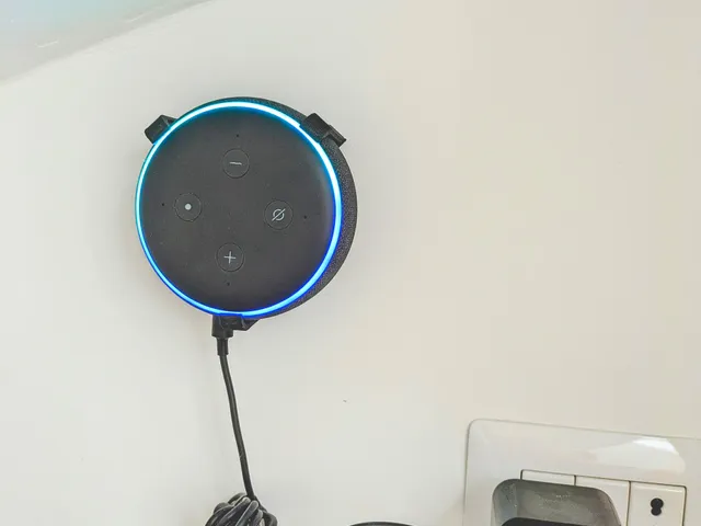 Amazo Alexa Echo Dot Support