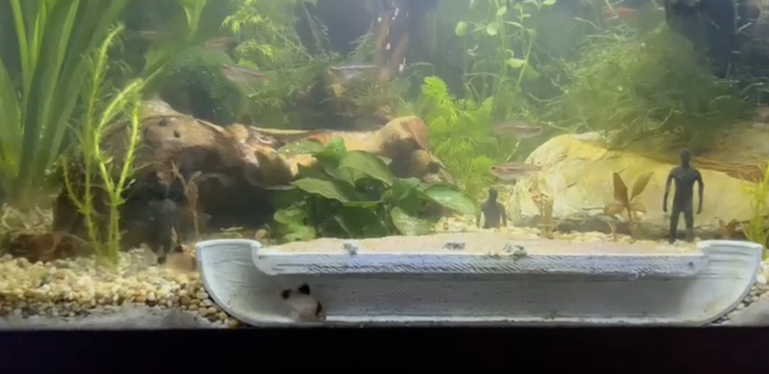 Fish Tank Sandpit with Viewing Tube