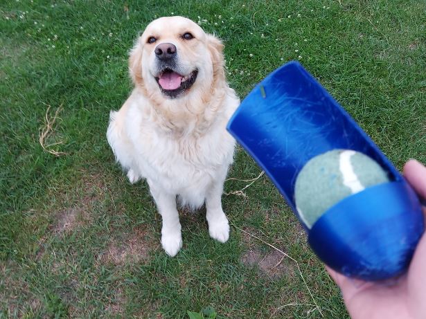 Tennis Ball Thrower for dogs Keeps your hands clean by rav | Download ...