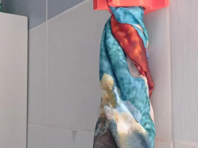 Bathroom Curtain Holder