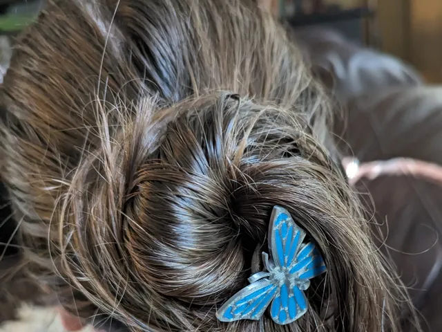 Butterfly Hair Pins