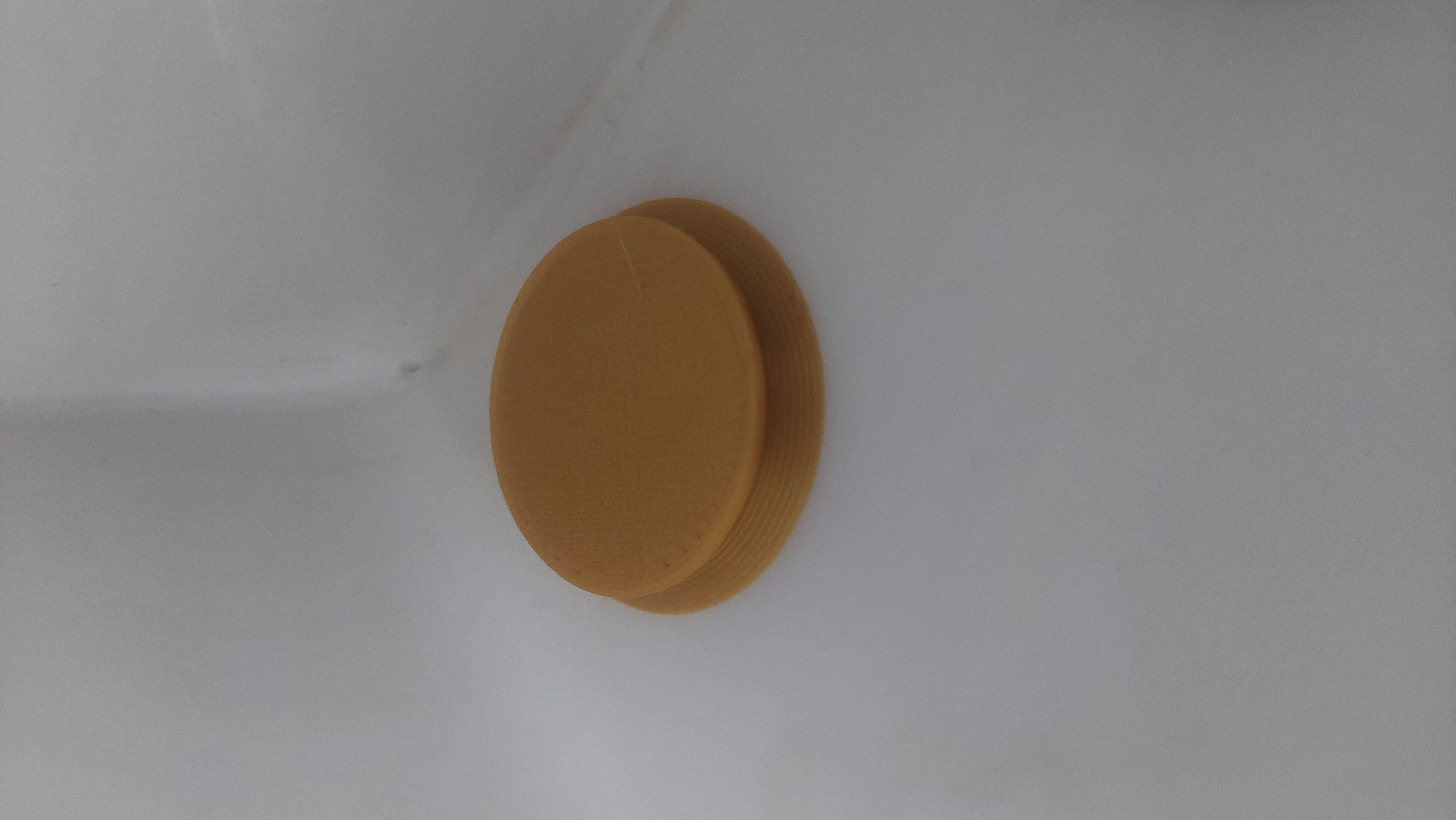 Smaller version of "Best Ant Trap Ever"