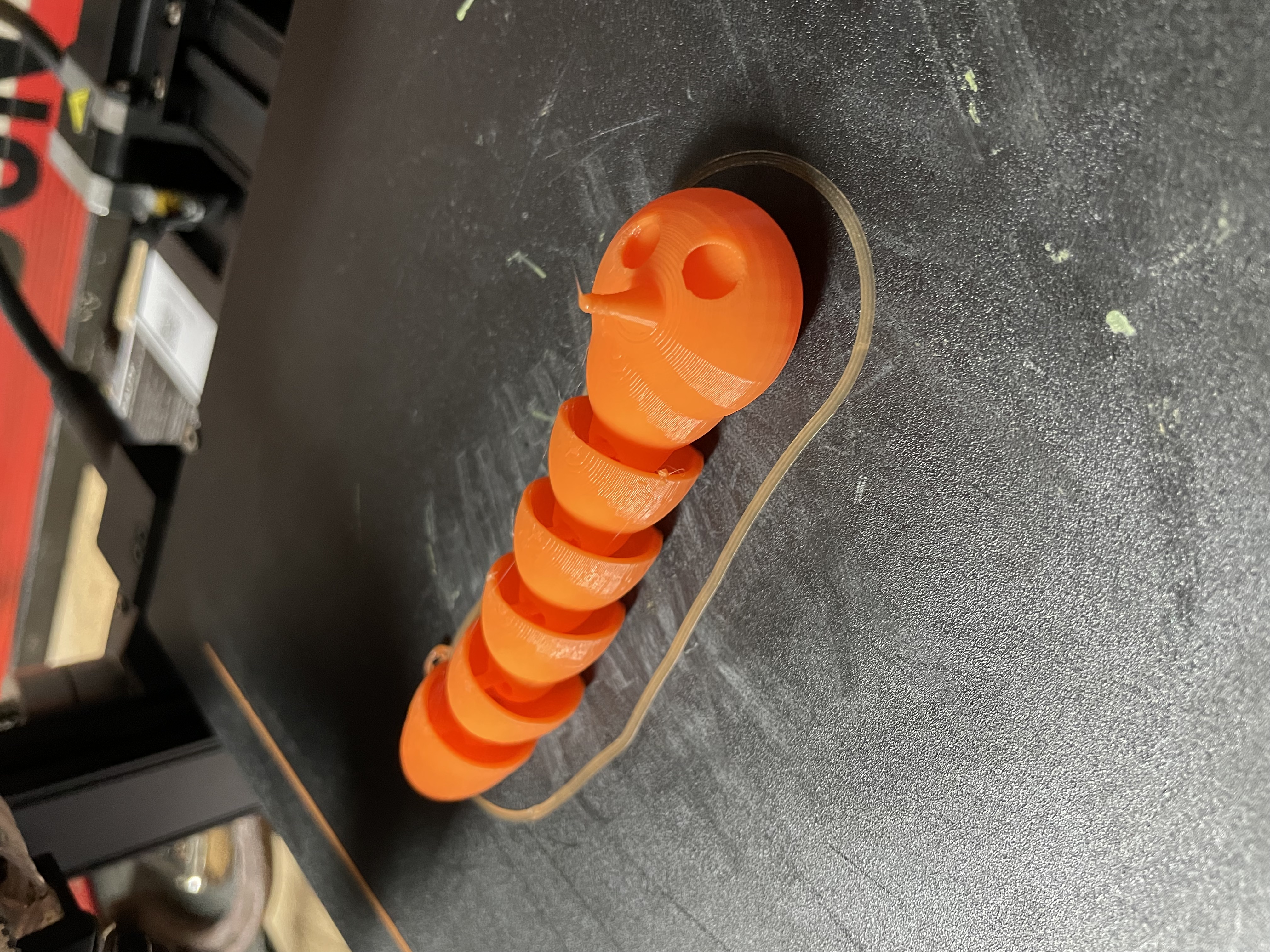 Fred the Horned Worm