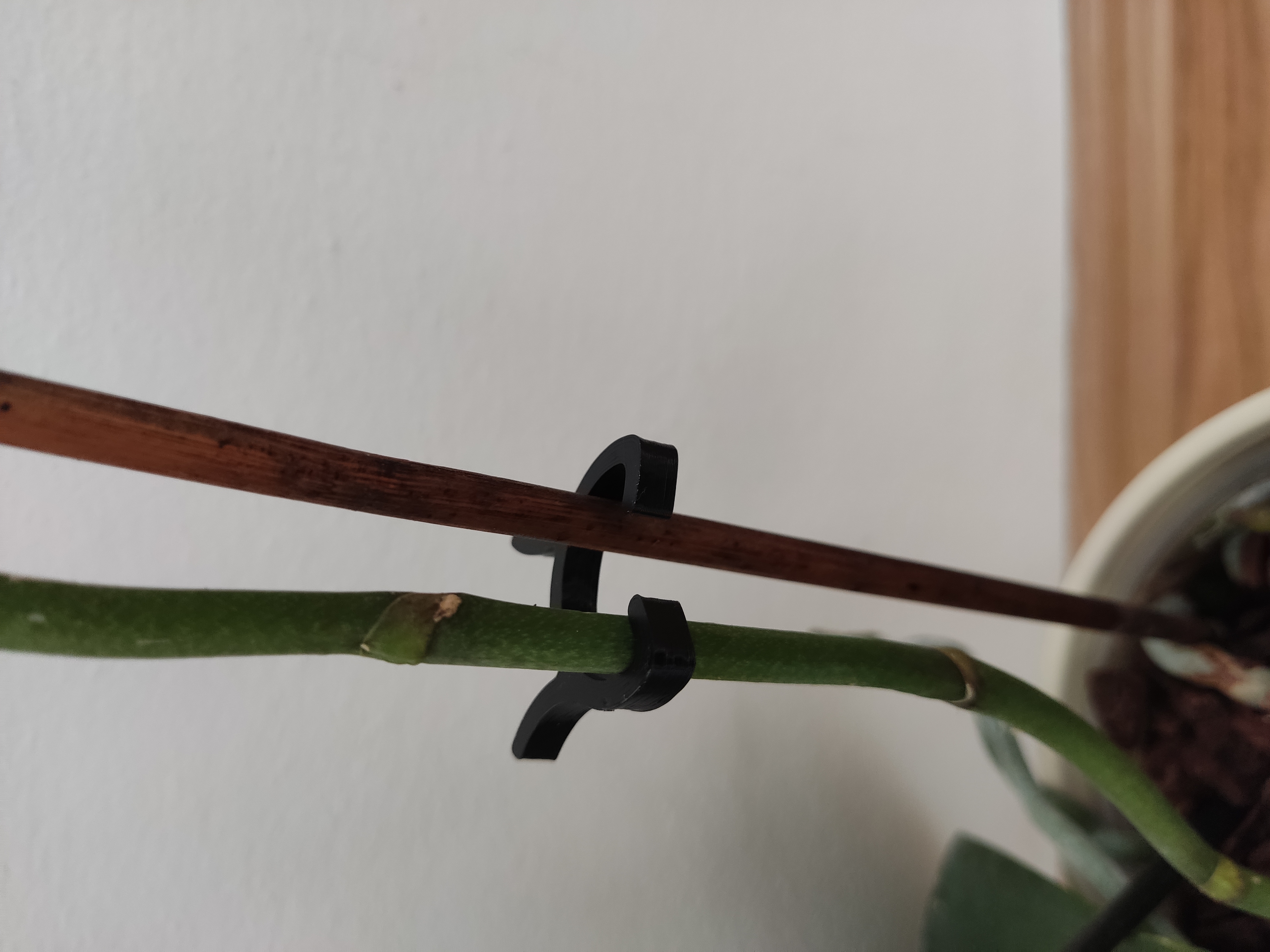 plant holder