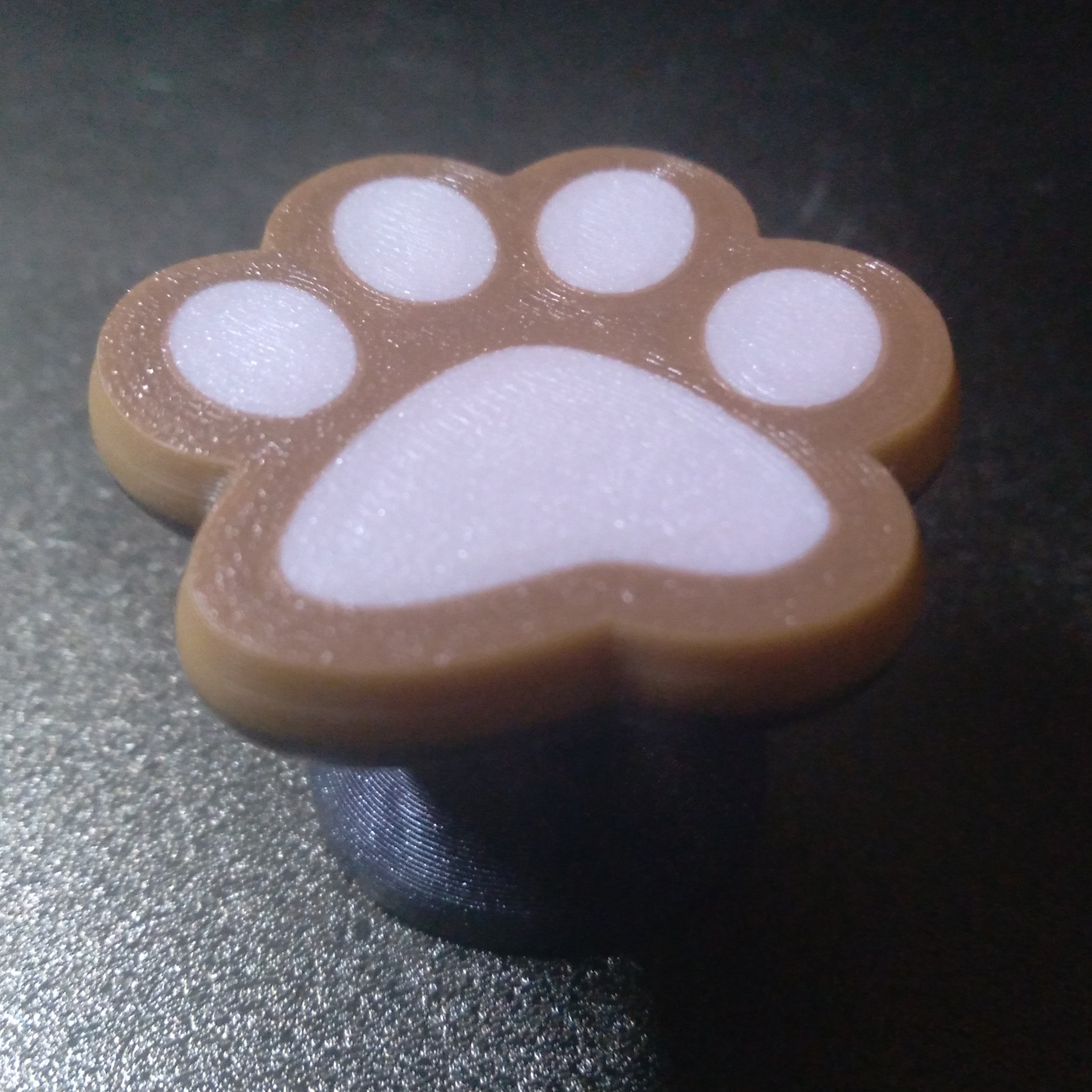 Cat Paw Knob Multicolor Print