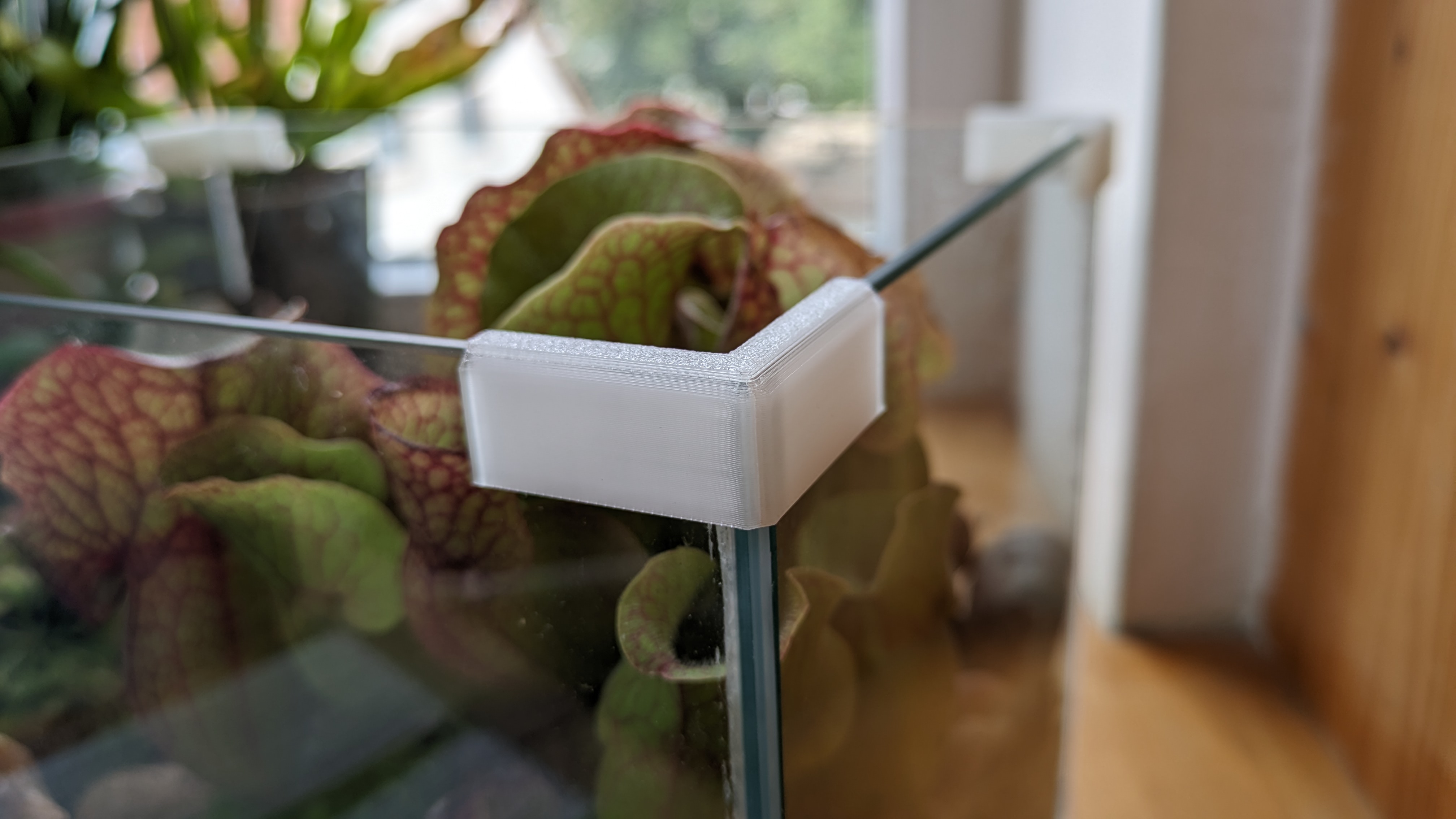 Terrarium corner protector