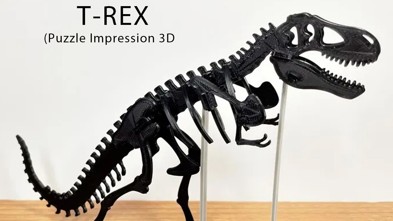 Miniatura 2 do modelo 3D T-Rex Kit Card