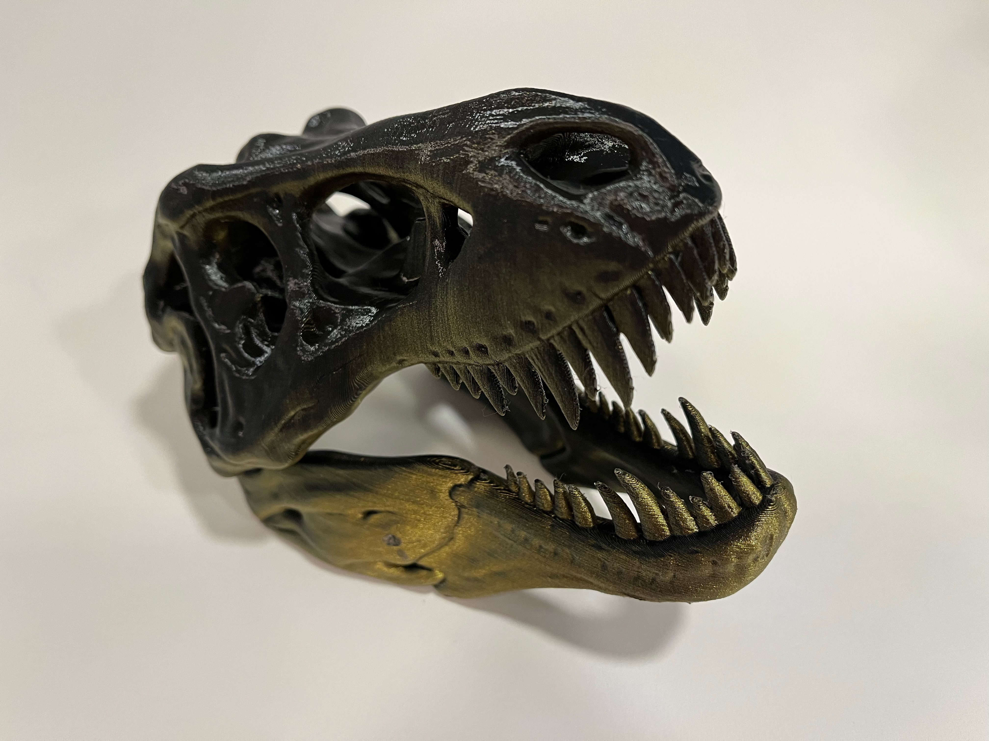Awesome T-Rex Skull