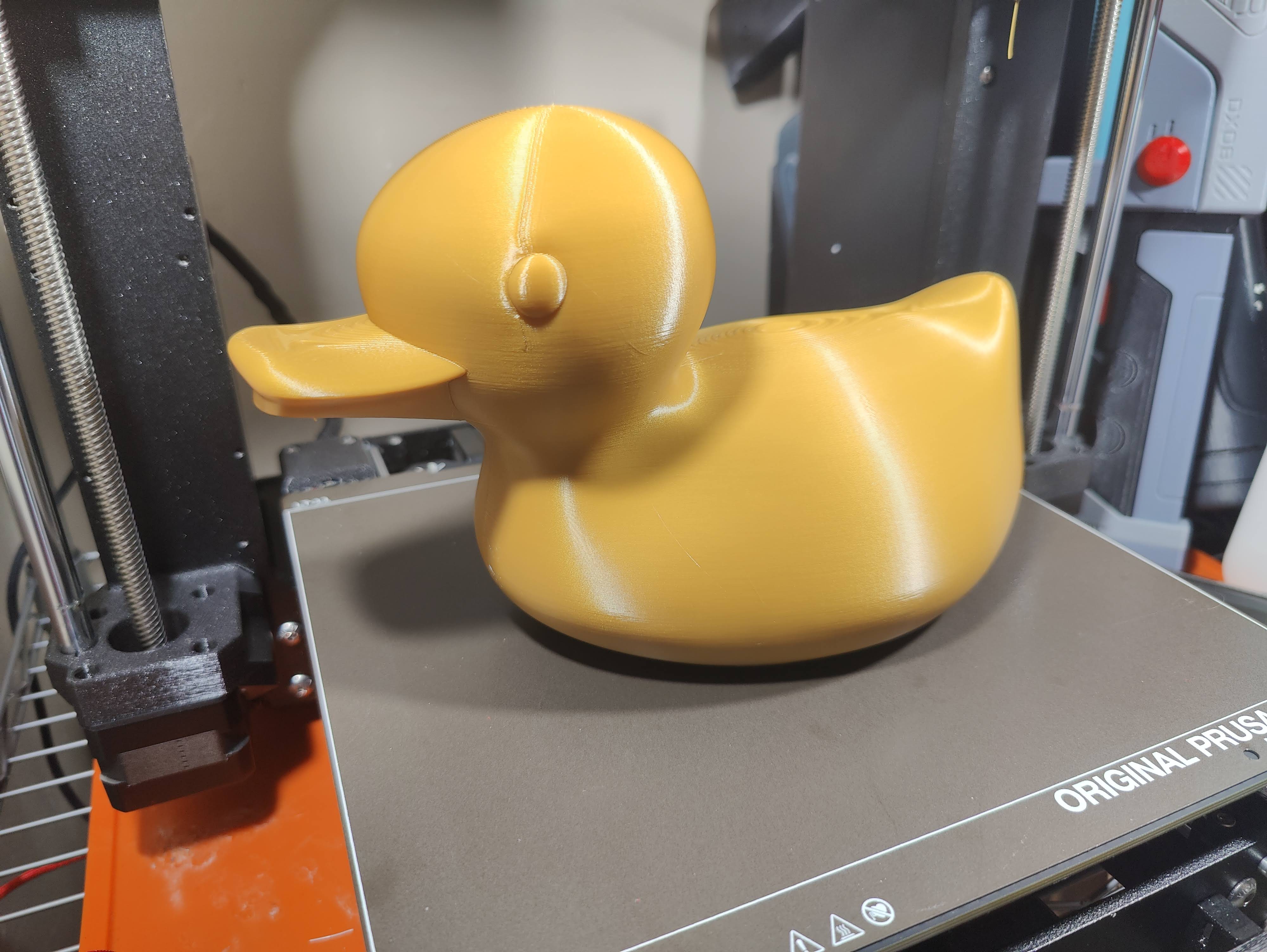 Duckception