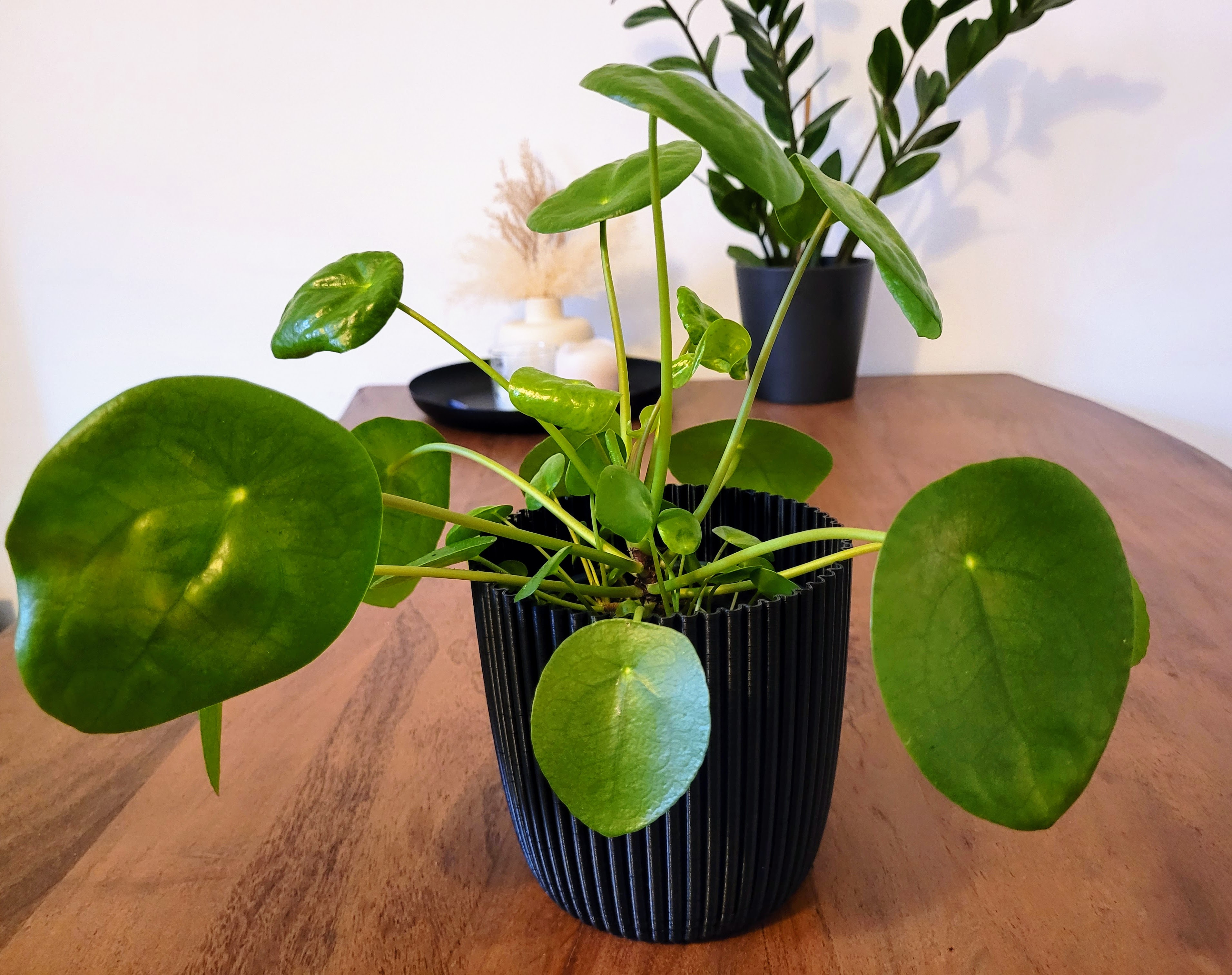 Modern Planter 12cm