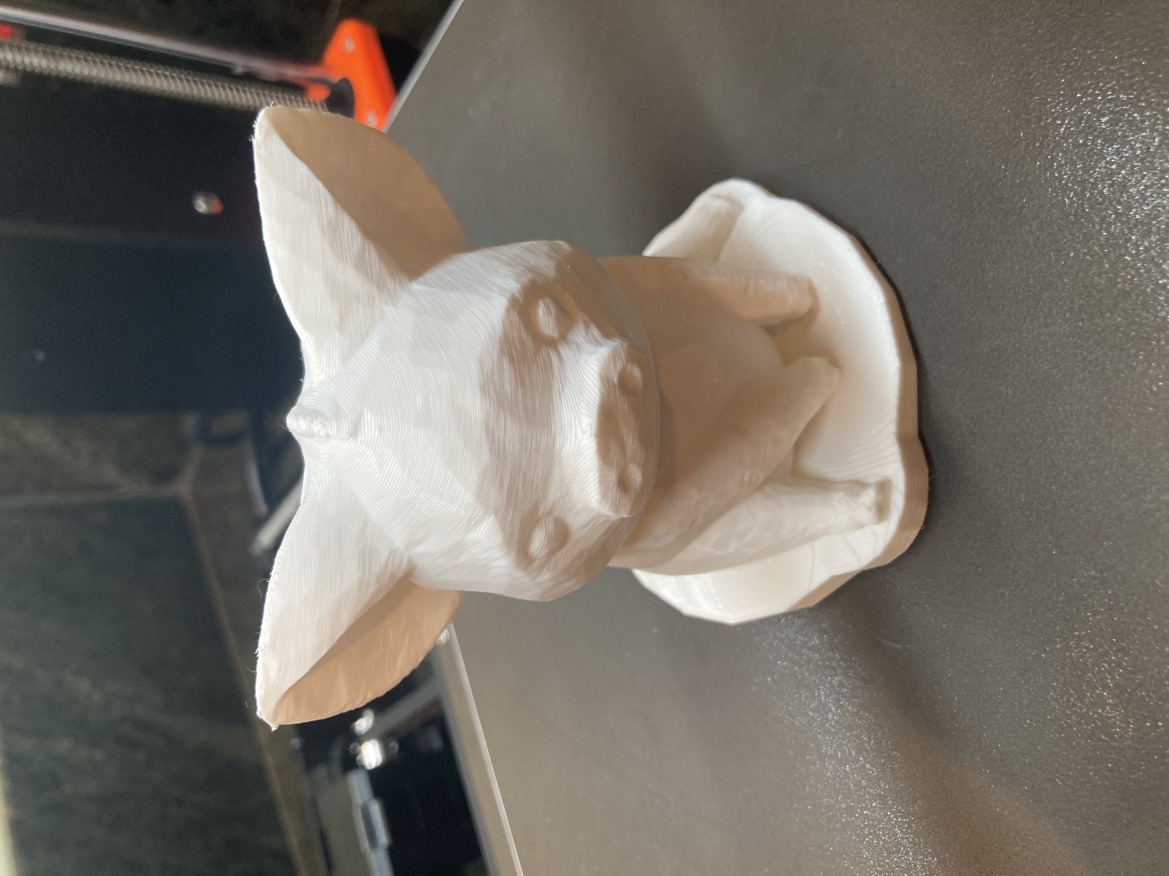 Pua Pig - Disney Moana