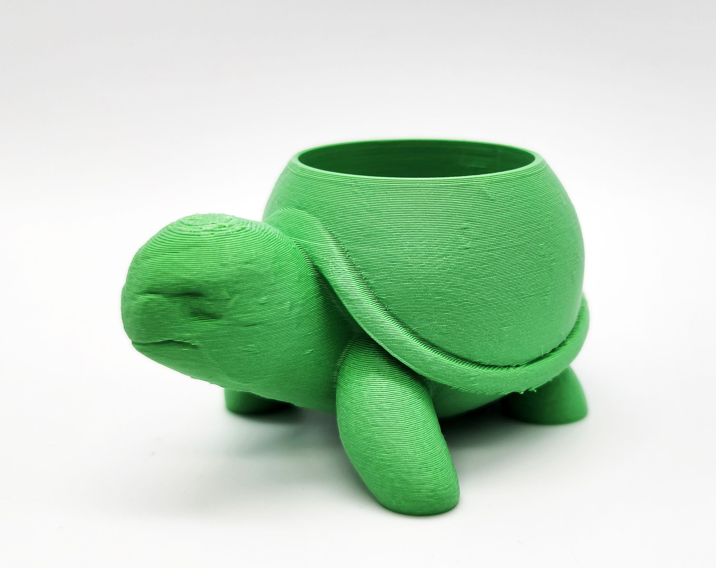 Rounded Turtle Succulent Planter