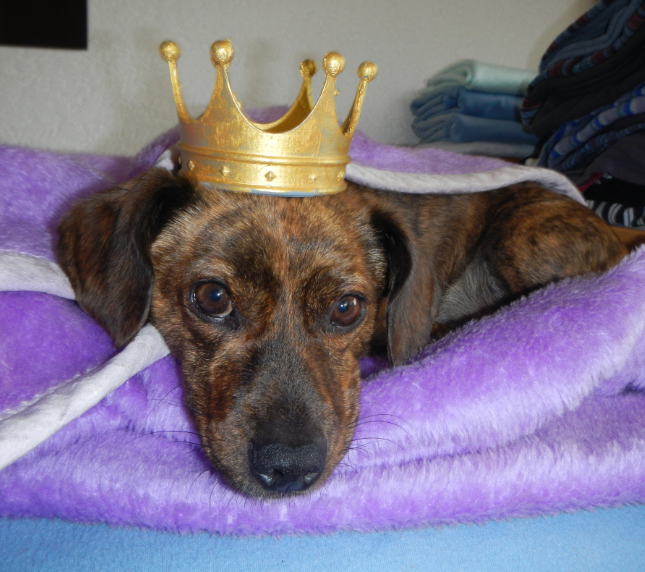 Crown!!!!!
