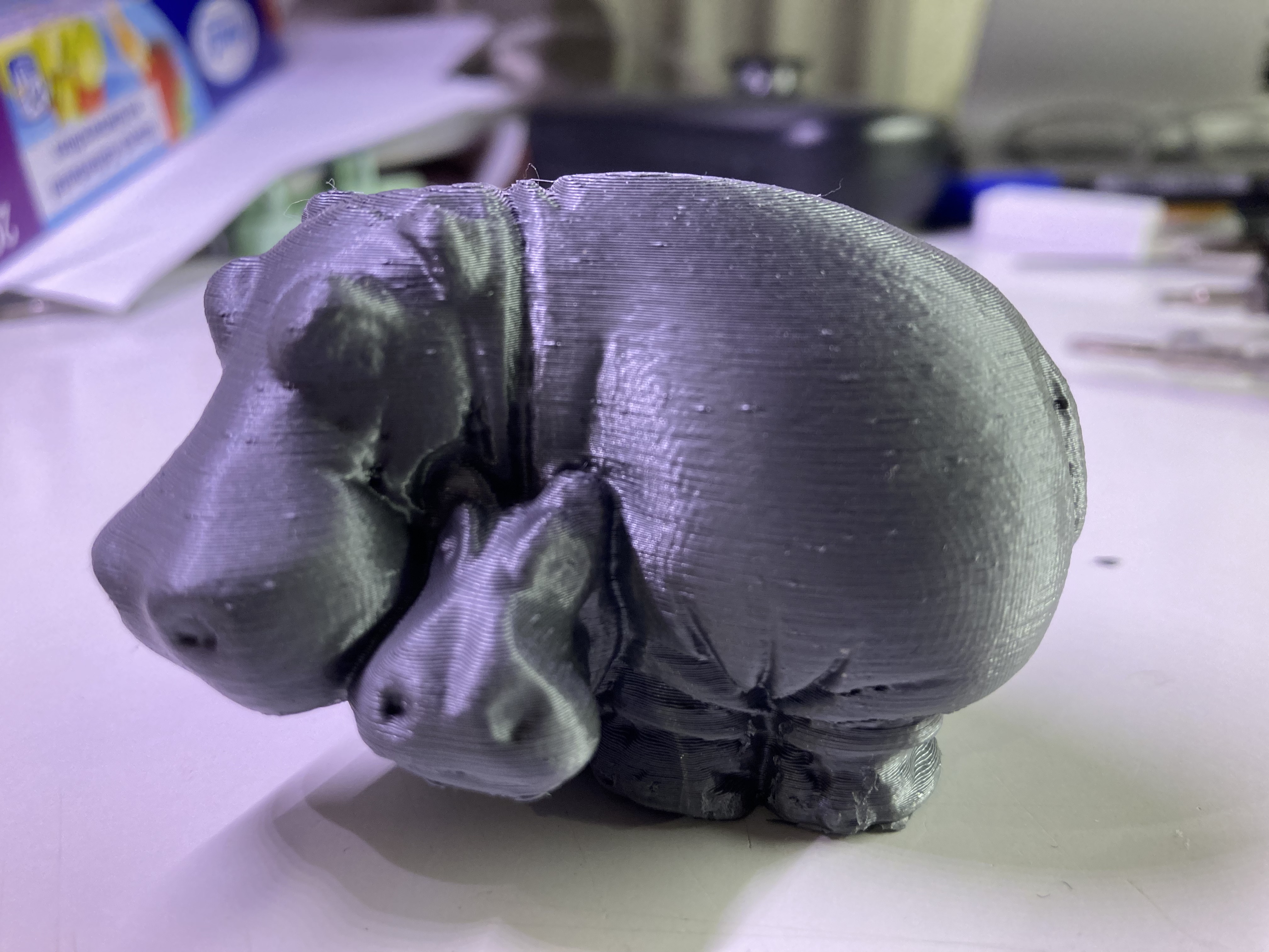 Hippo captured by photogrammetry