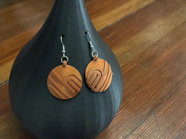Loops and Lines Disc Earrings