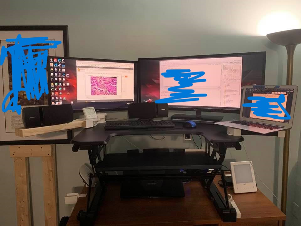 Living Desk: Rotatable Monitor Stand