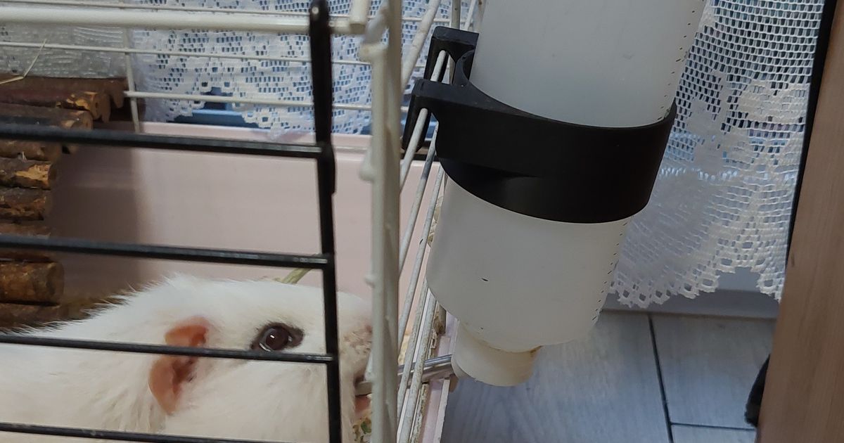 Guinea pig water bottle holder by Pali Download free STL model