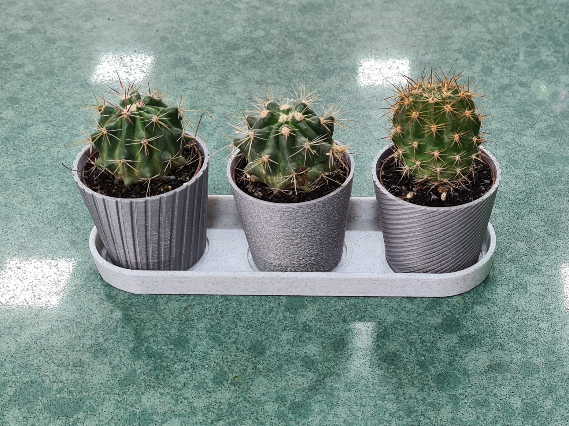 Mini Cactus 3 Planters Set With Tray