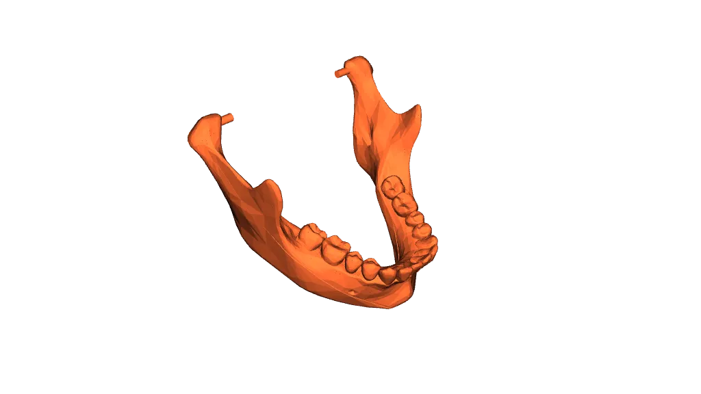 mandibula stl file 3D Models to Print - yeggi