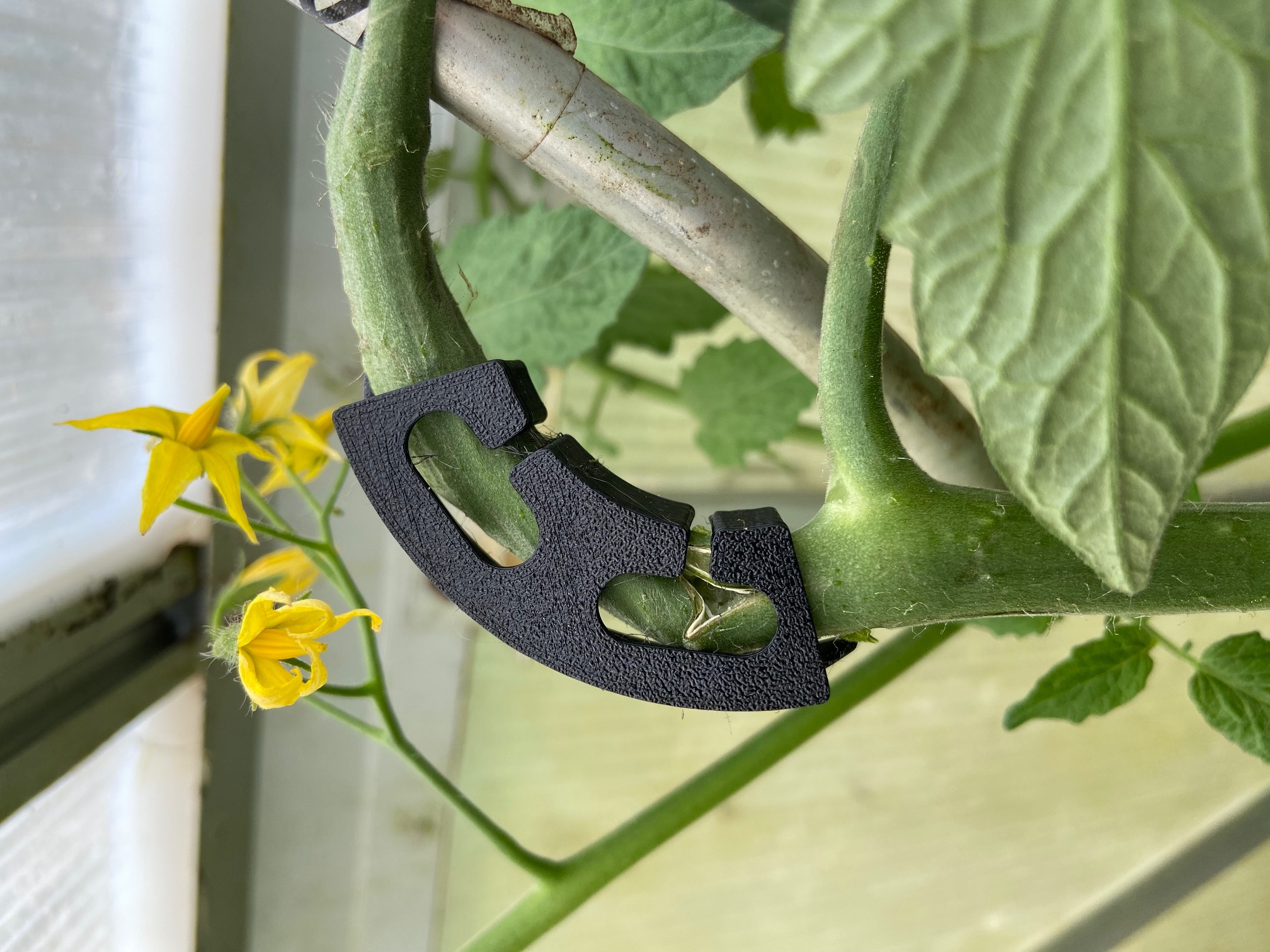 Tomato Plant Bender / Tomaten Rispenbügel Stielstützklammer