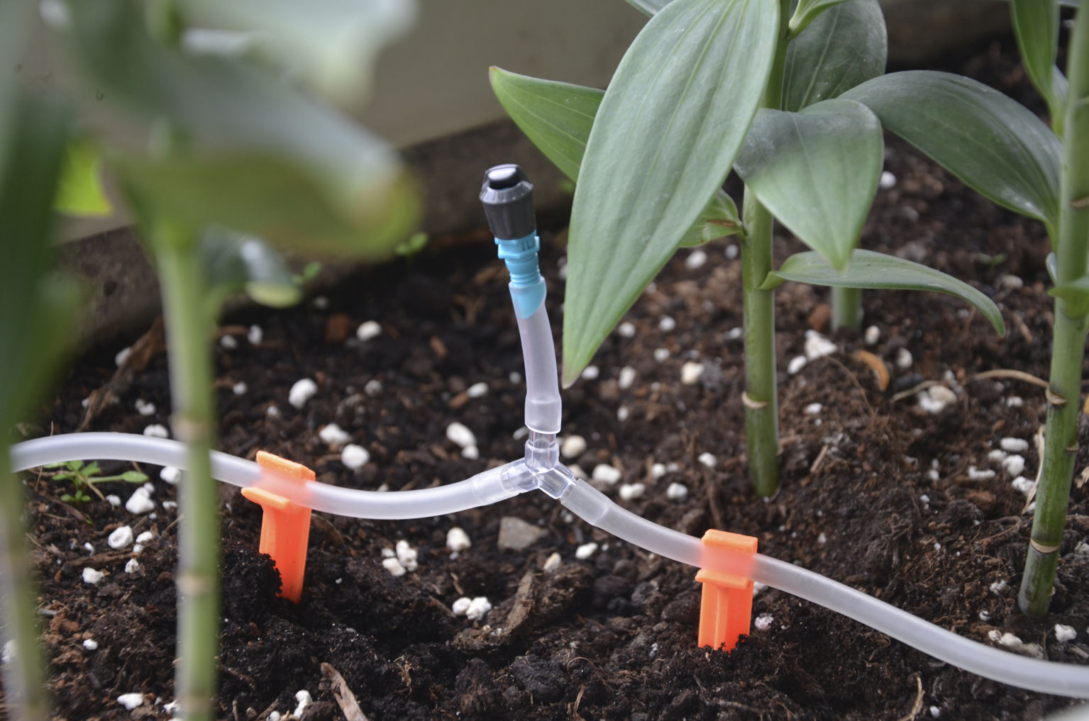 Plant watering hose holder stick