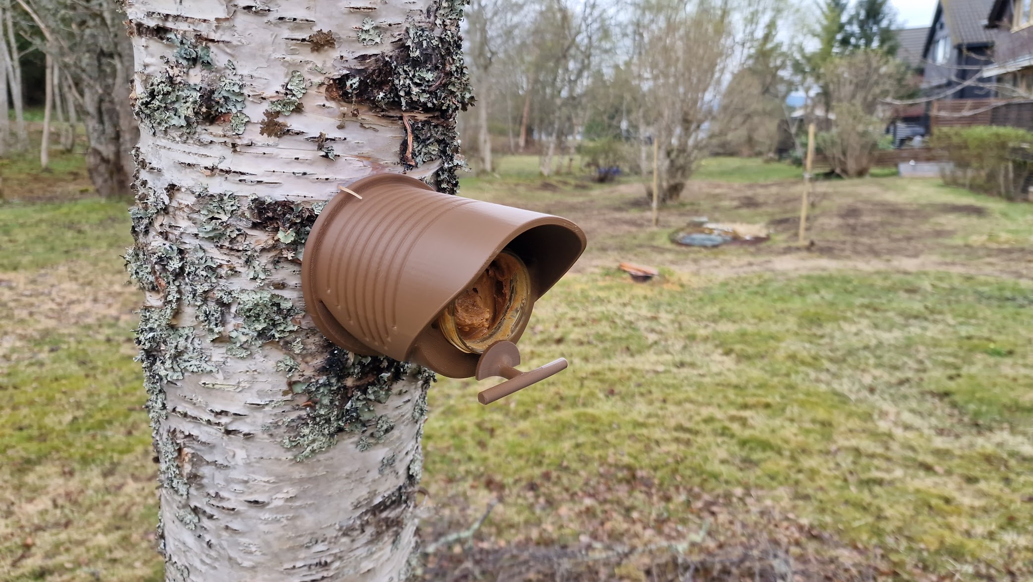 Peanut Butter Jar Winter Bird Feeder