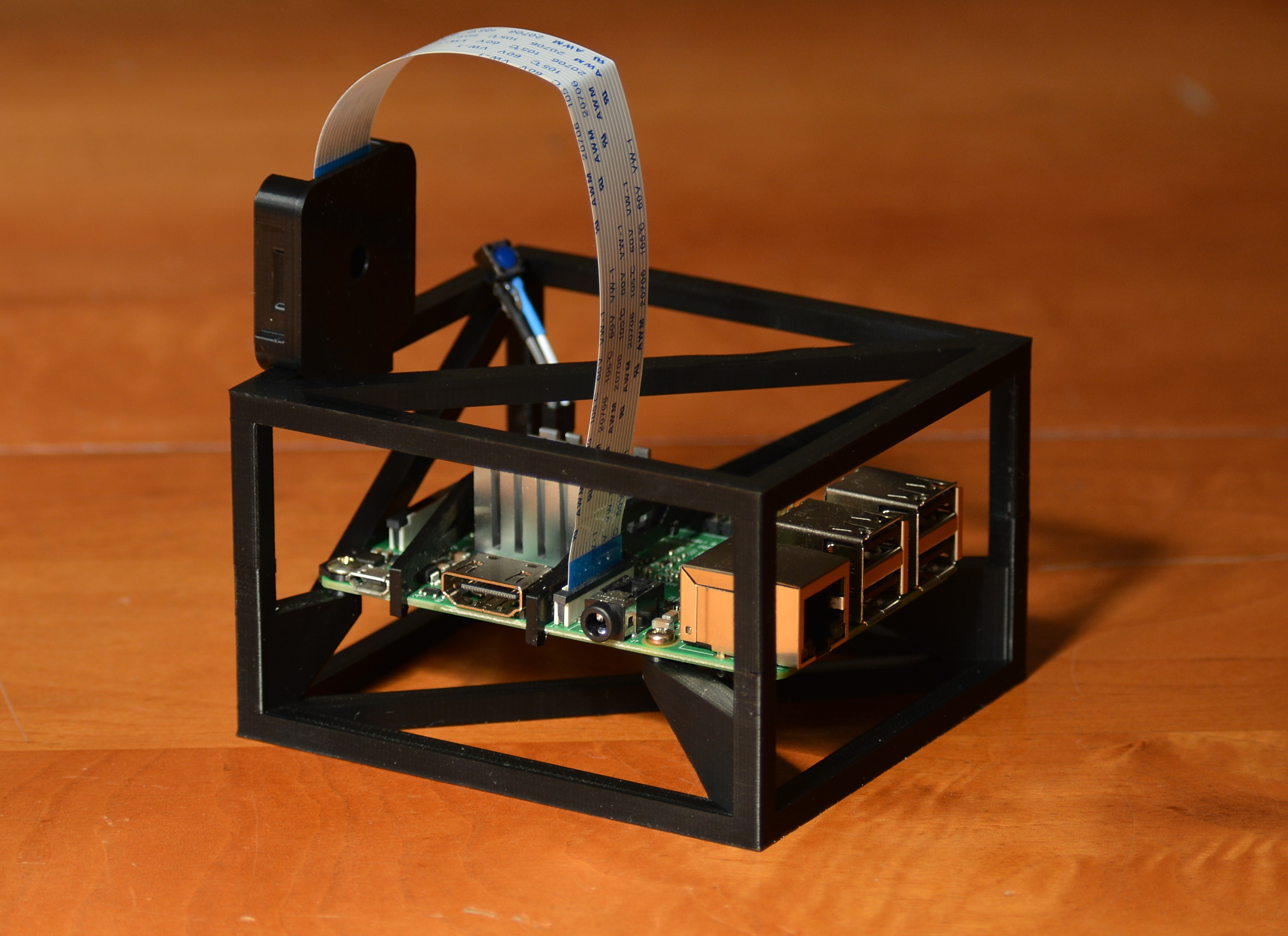 Raspberry Pi cage
