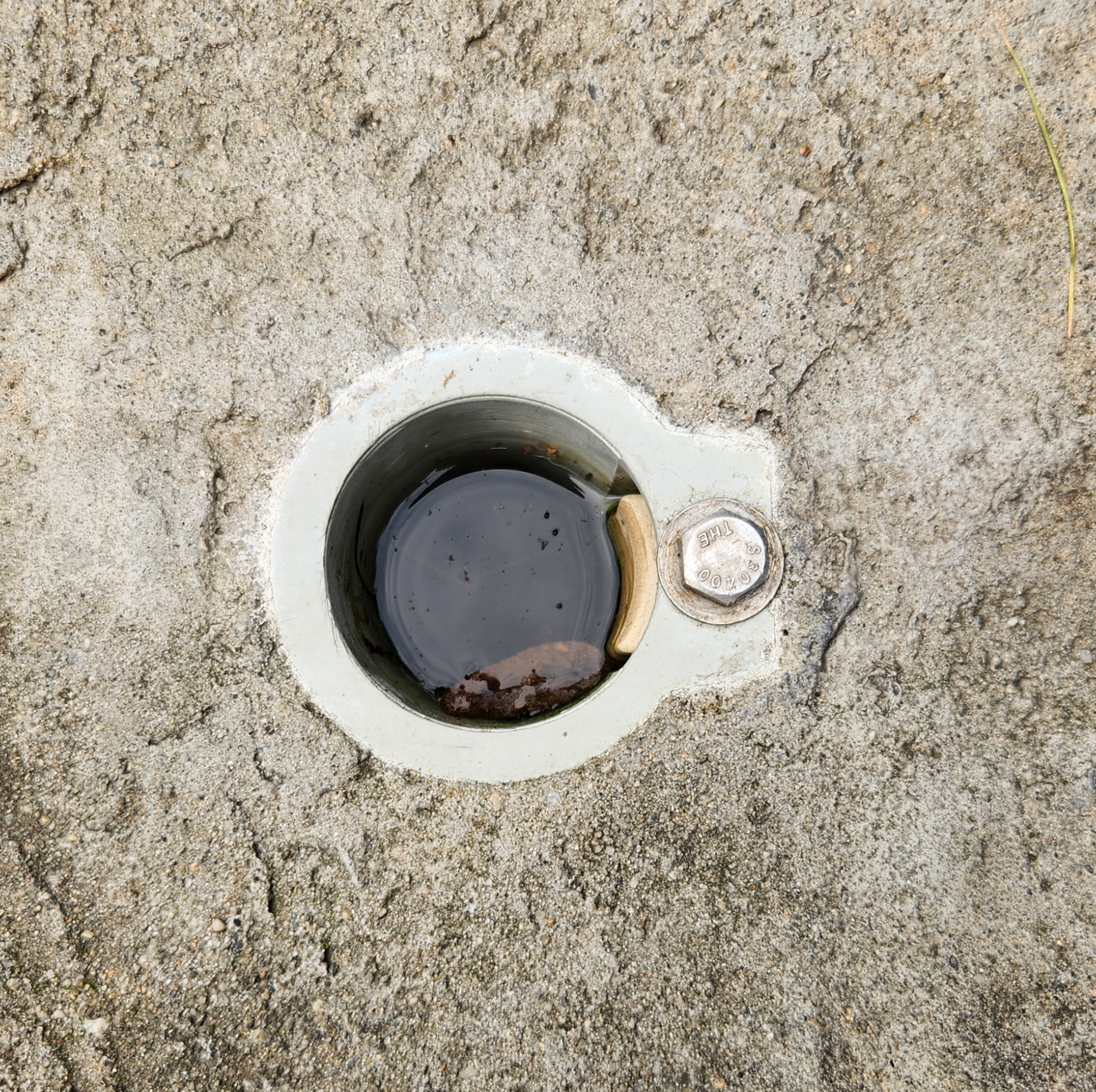 Pool Ladder Hole Cover by Luce Download free STL model