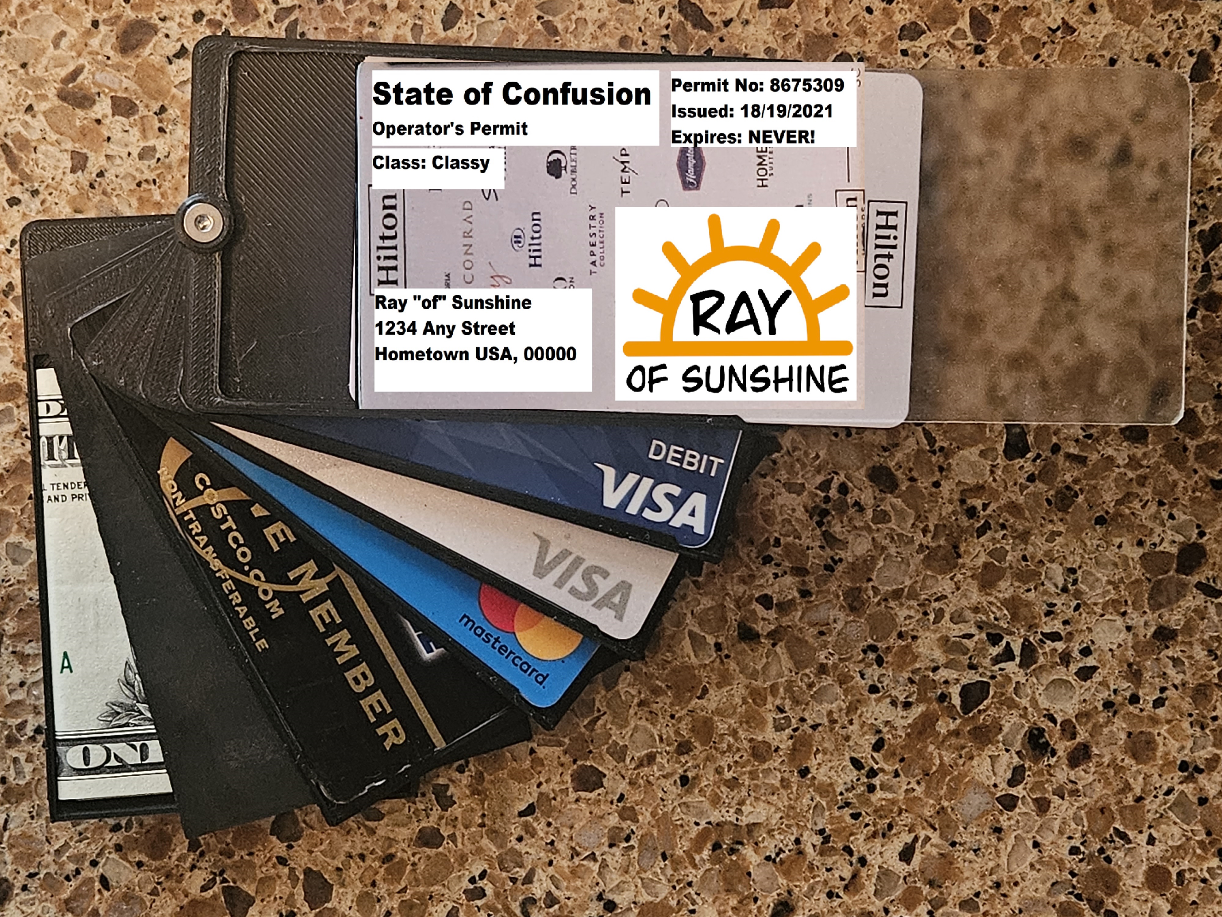 Printed Wallet - Modular Card Holder + Cash!