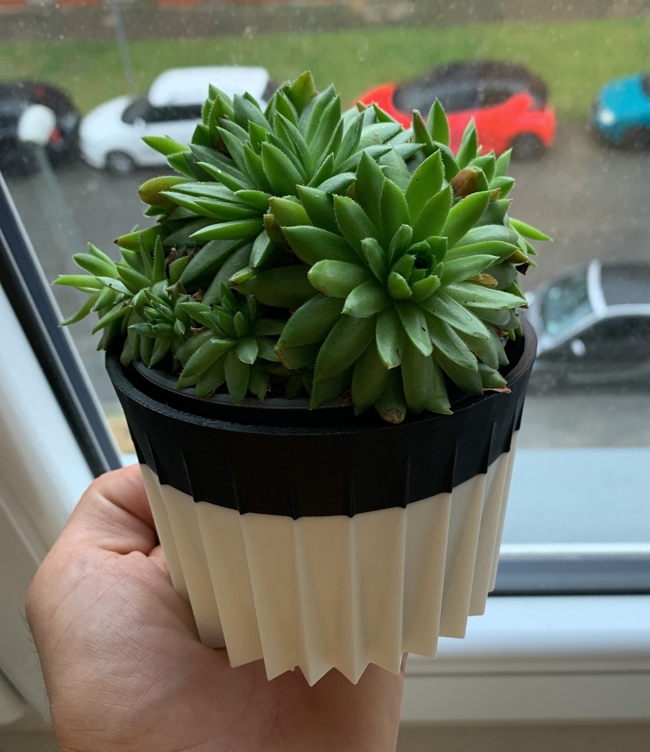 Flowerpot (Pichlavá Květinka)