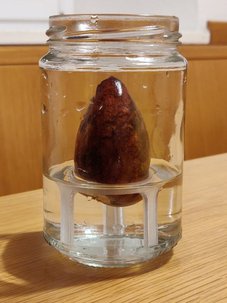Avocado sprouter (narrow jar edition)